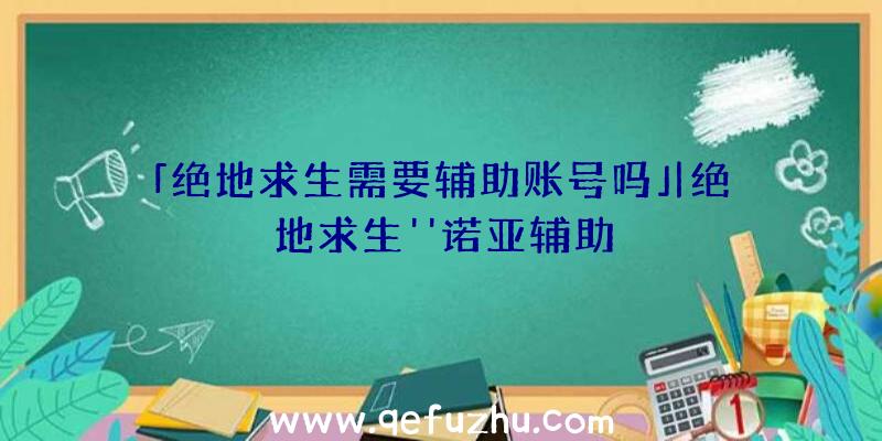 「绝地求生需要辅助账号吗」|绝地求生''诺亚辅助